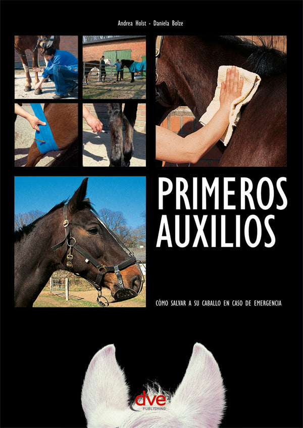 Primeros auxilios | Bolze, Holst