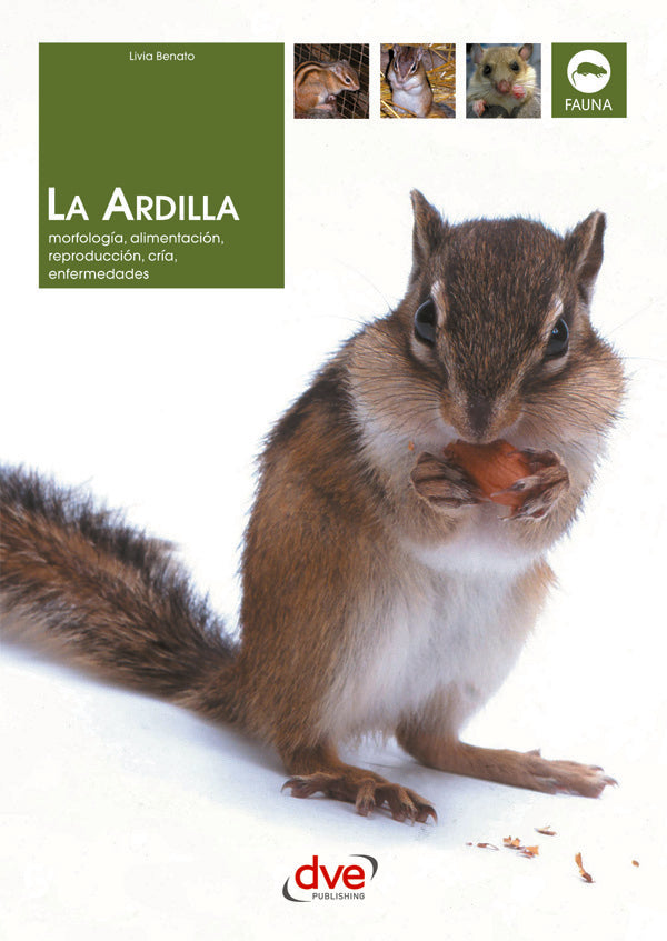 La ardilla | Livia Benato