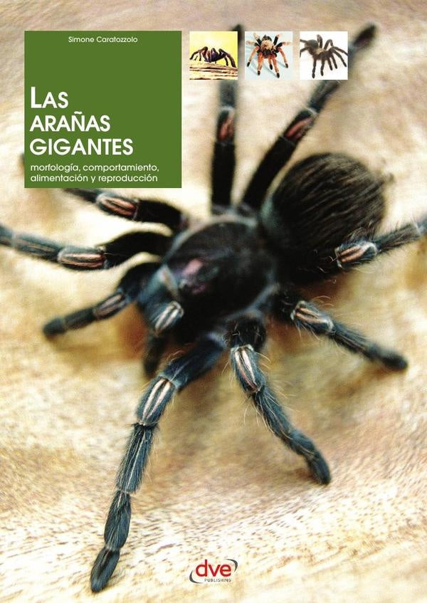 Las arañas gigantes  | Simone Caratozzolo