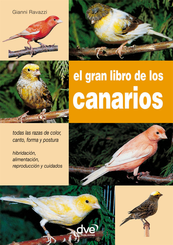 El gran libro de los canarios | Ravazzi, RAVAZZI