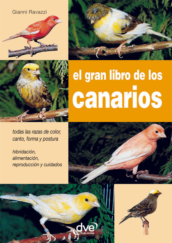 El gran libro de los canarios | RAVAZZI, Ravazzi