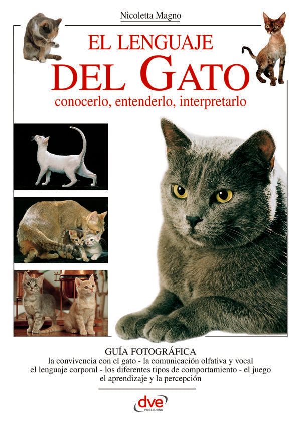 El lenguaje del gato  | Magno, Magno