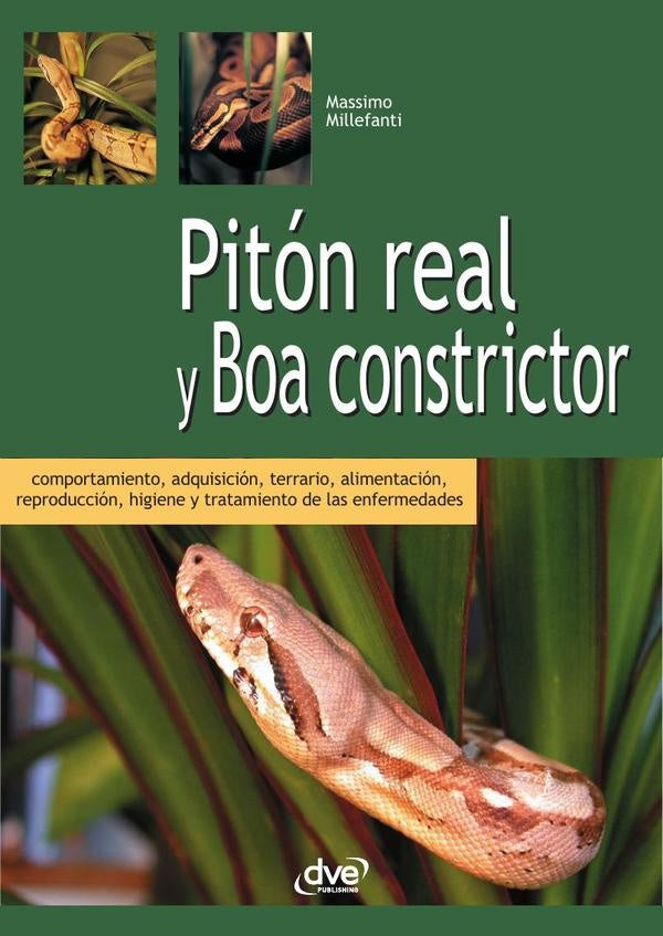 Pitón real y boa constrictor  | Millefanti, Millefanti