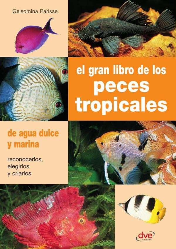 El gran libro de los peces tropicales  | Gelsomina Parisse