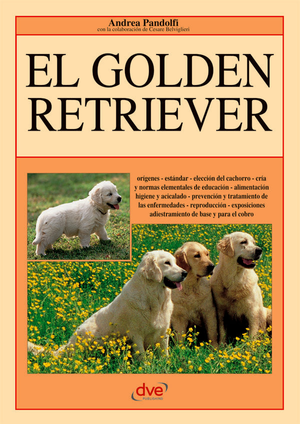 El Golden retriever | Andrea Pandolfi