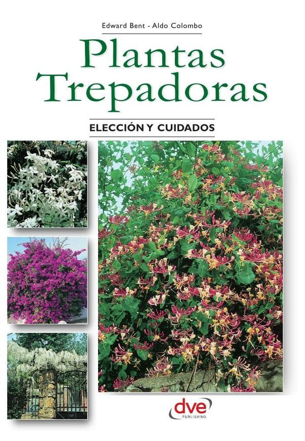 Las plantas trepadoras  | Colombo, BENT