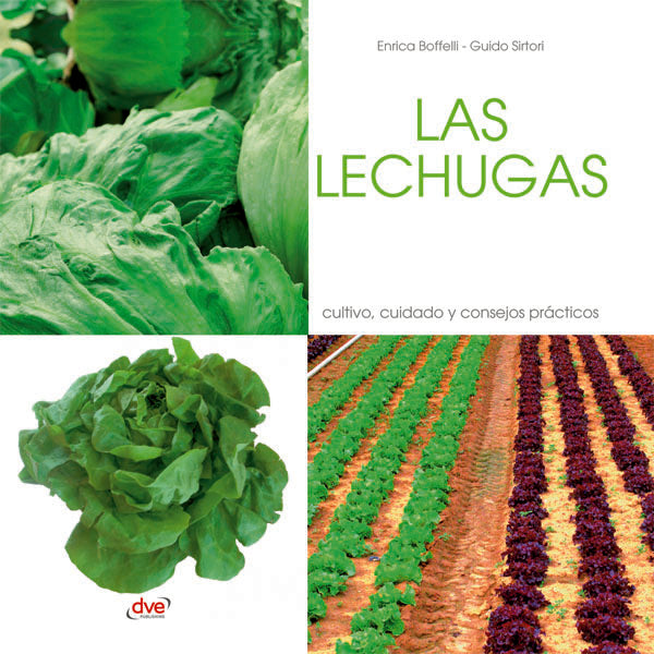 Las lechugas  | Boffelli, Sirtori