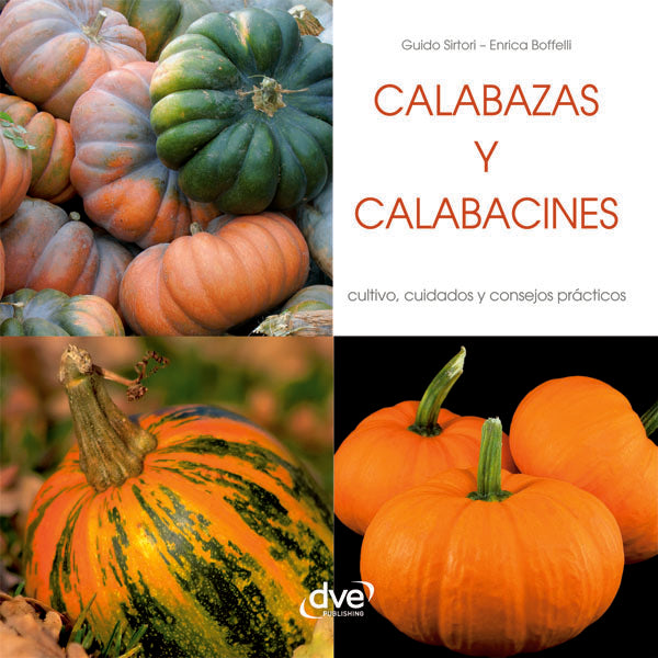 Calabazas y calabacines  | Sirtori, Boffelli