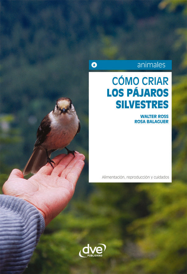 Cómo criar los pájaros silvestres  | ROSS, BALAGUER