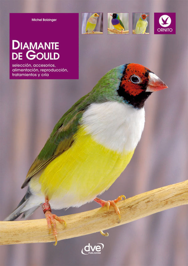 Diamante de gould  | Michel Bolzinger