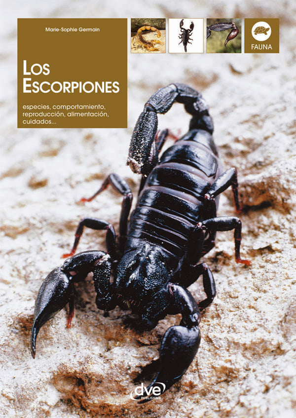 Los escorpiones | Marie-Sophie Germain