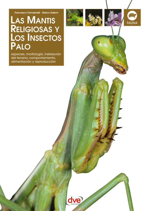 Las Mantis religiosa y los insectos palo | Tomasinelli, Salemi