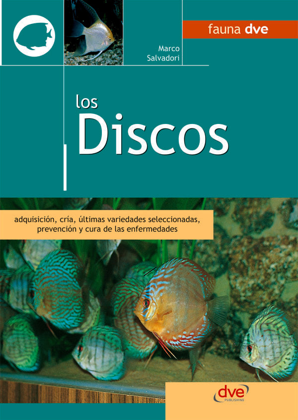 Los discos | Marco Salvadori