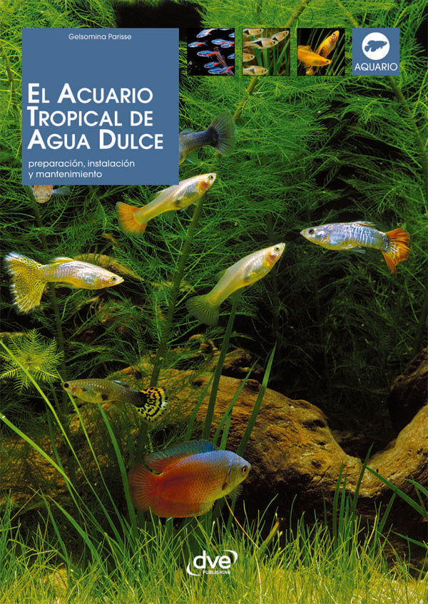 El acuario tropical de agua dulce  | Gelsomina Parisse