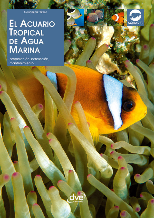 El acuario tropical de agua
marina  | Gelsomina Parisse