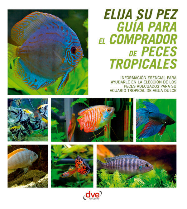 Guía para el comprador de peces tropicales  | SU PEZ