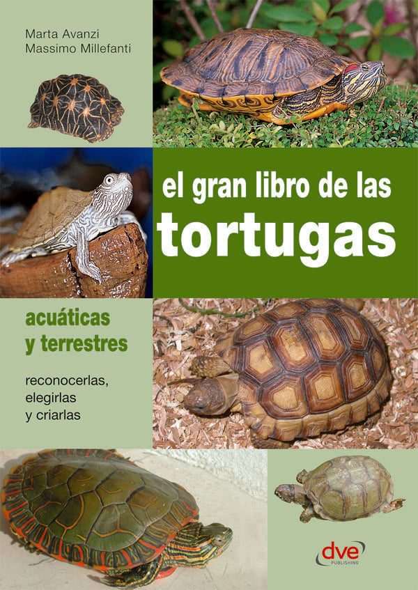 El gran libro de las tortugas | Avanzi, Millefanti
