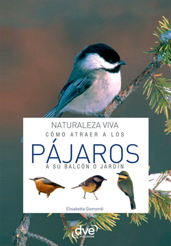 Cómo atraer a los pájaros a su balcón o jardín  | Elisabetta Gismondi