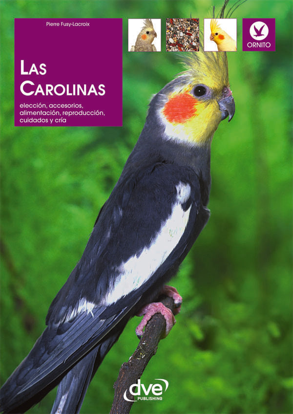 Las Carolinas | Pierre Fusy-Lacroix