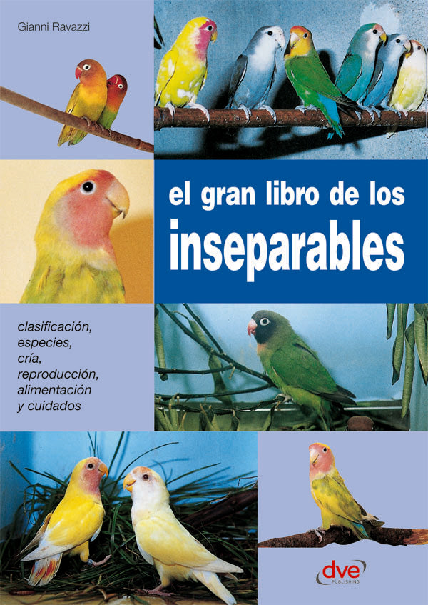 El gran libro de los inseparables | RAVAZZI, Ravazzi