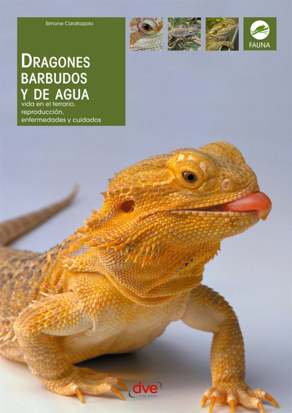 Dragones barbudos y de agua  | Simone Caratozzolo