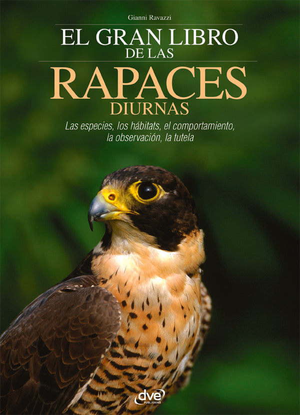 El gran libro de las rapaces diurnas | RAVAZZI, Ravazzi