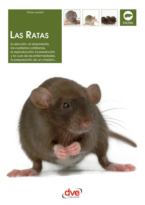Las ratas | Olivier Laurent