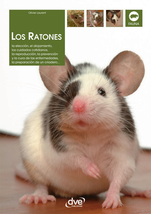 Los ratones | Olivier Laurent