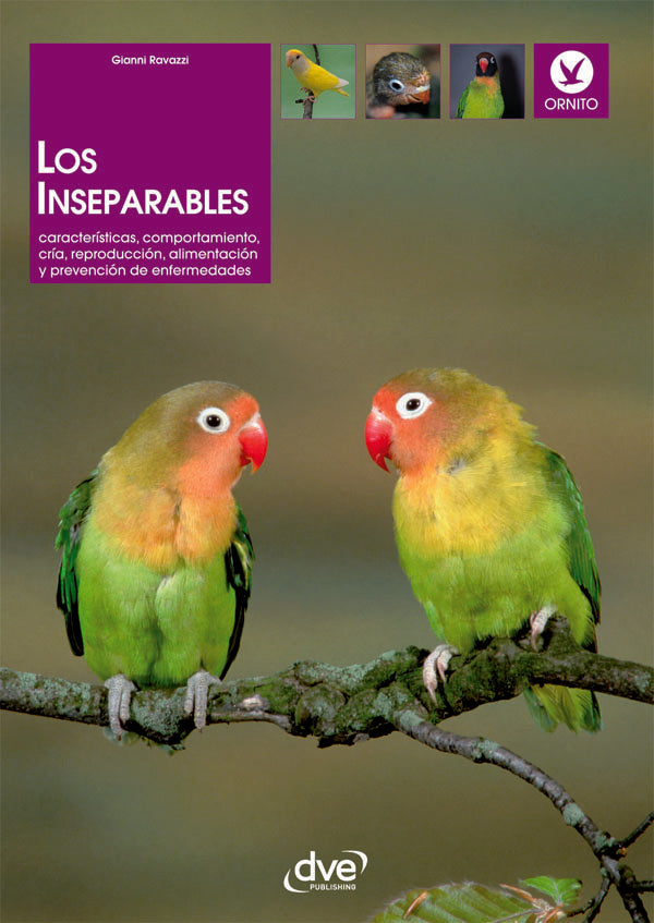 Los inseparables | Ravazzi, RAVAZZI