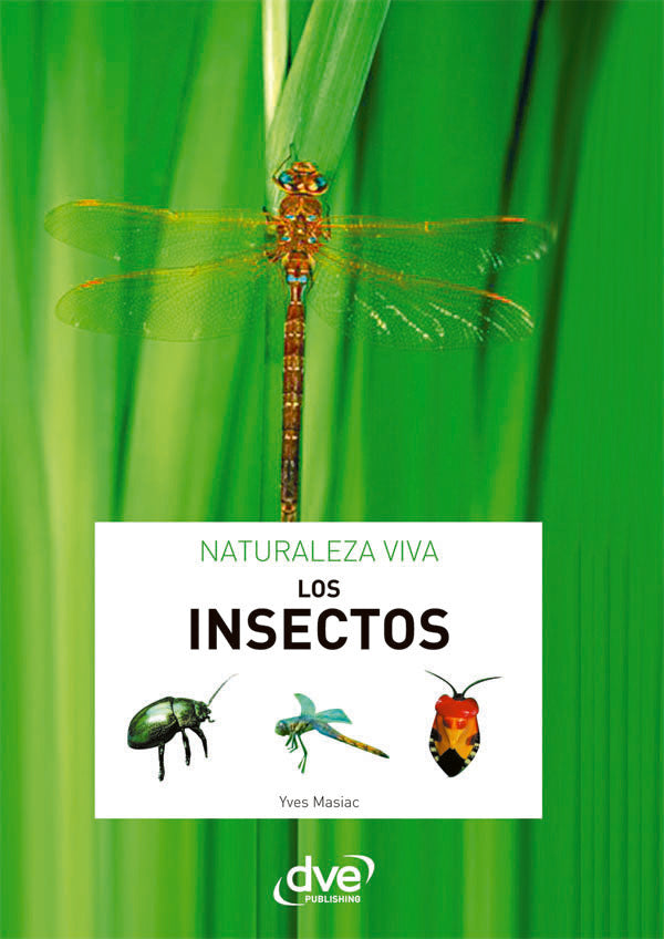 Los insectos | Yves Masiac