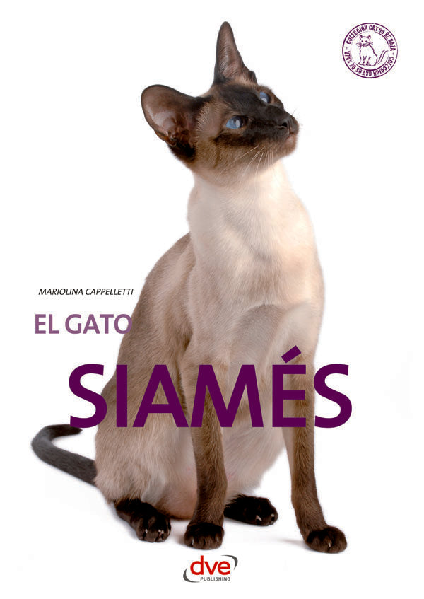 El gato siamés | MARIOLINA CAPPELLETTI