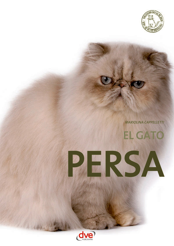 El gato persa | MARIOLINA CAPPELLETTI
