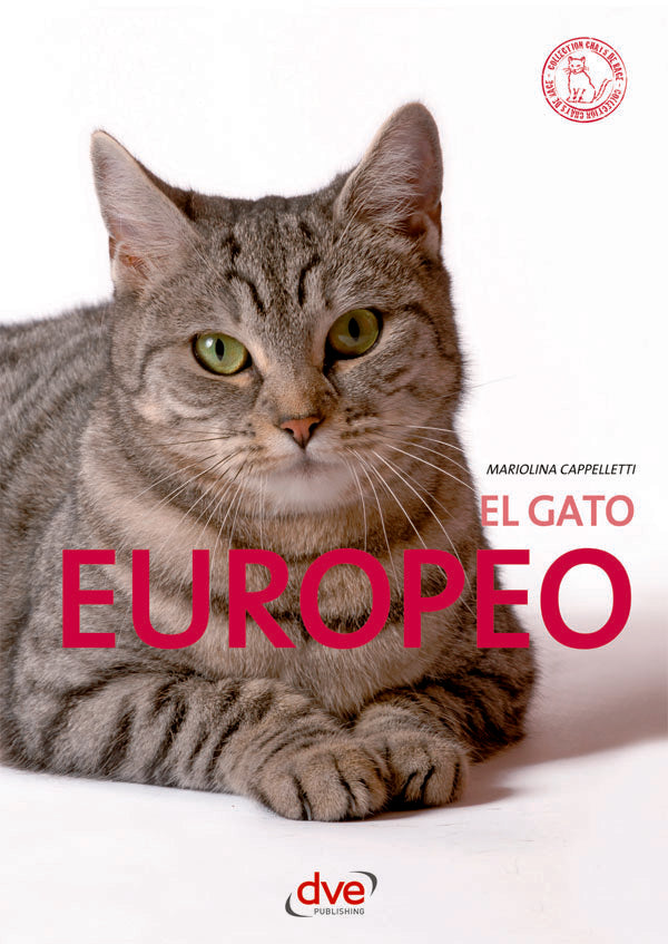 El Gato Europeo | MARIOLINA CAPPELLETTI