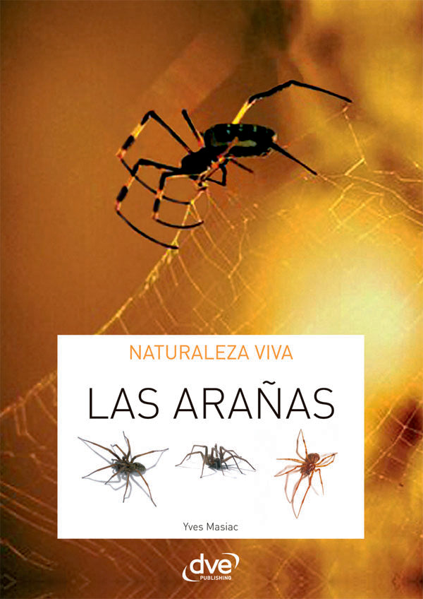 Las Arañas | Yves Masiac