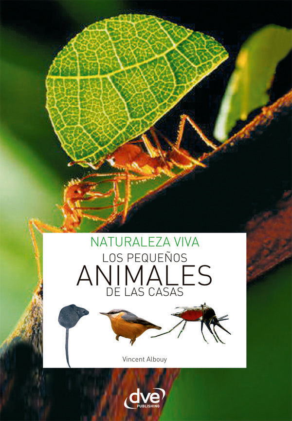 Los pequeños animales de la casa | Vincent Albouy