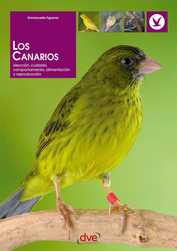 Los canarios | Emmanuelle Figueras