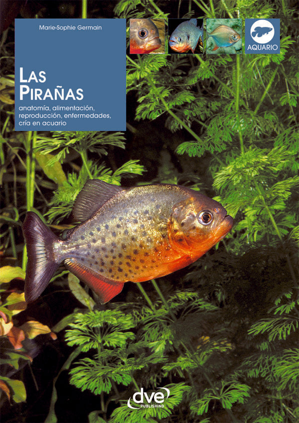 Las pirañas | Marie-Sophie Germain