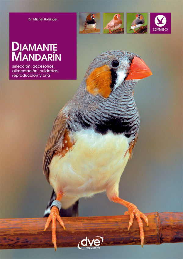 Diamante mandarín | Michel Bolzinger