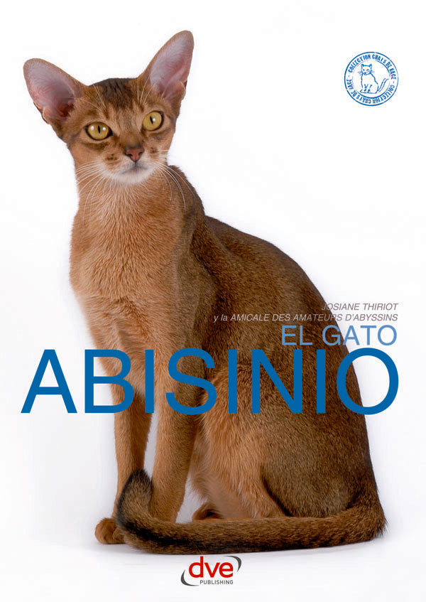 El gato abisinio | JOSIANE THIRIOT