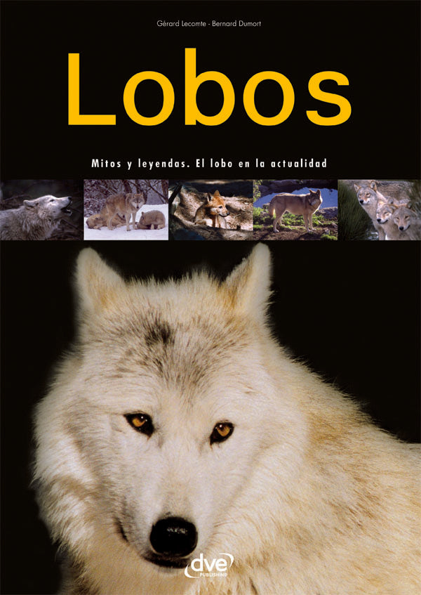 Lobos | Lecomte, Dumort