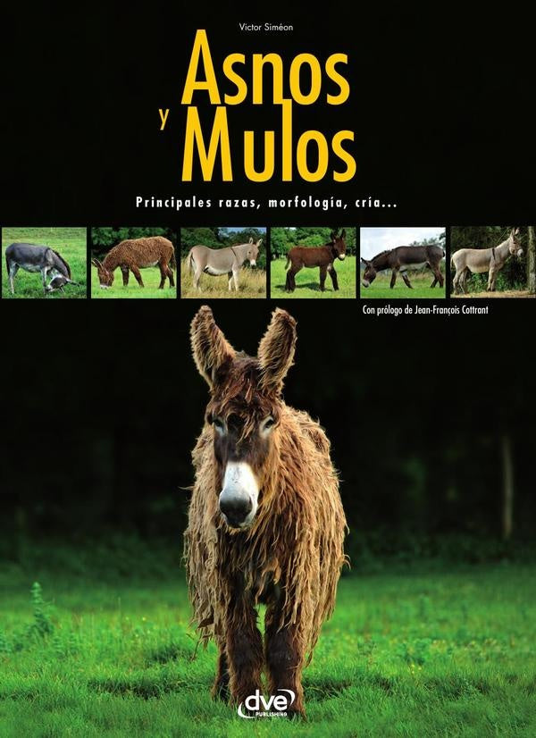 Asnos y mulas | Victor Siméon