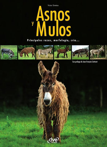 Asnos y mulas | Victor Siméon