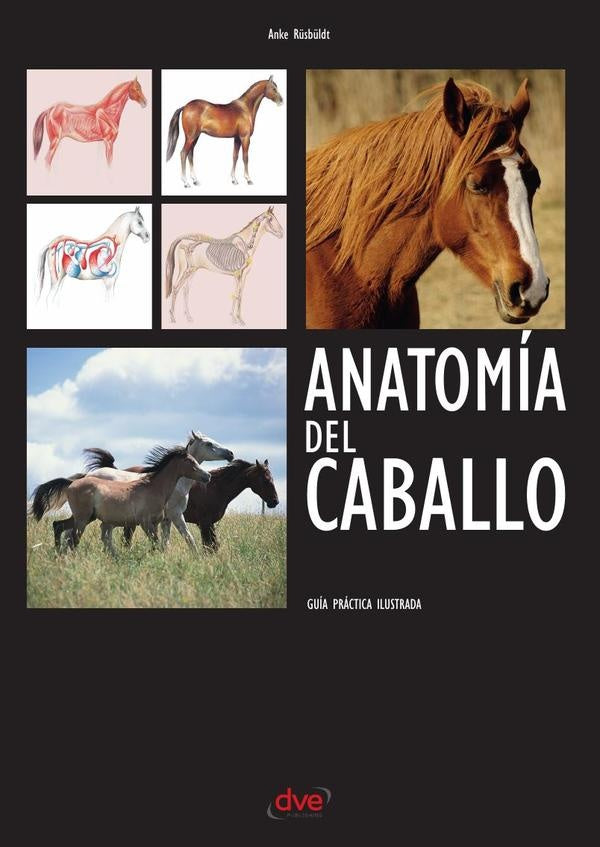 Anatomía del caballo | Anke Rüsbüldt
