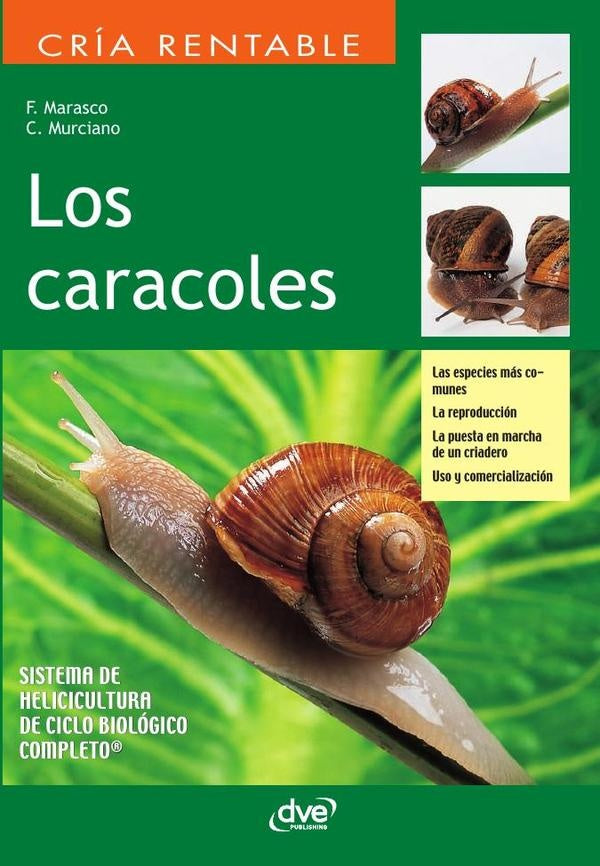 Los caracoles | Murciano, Marasco
