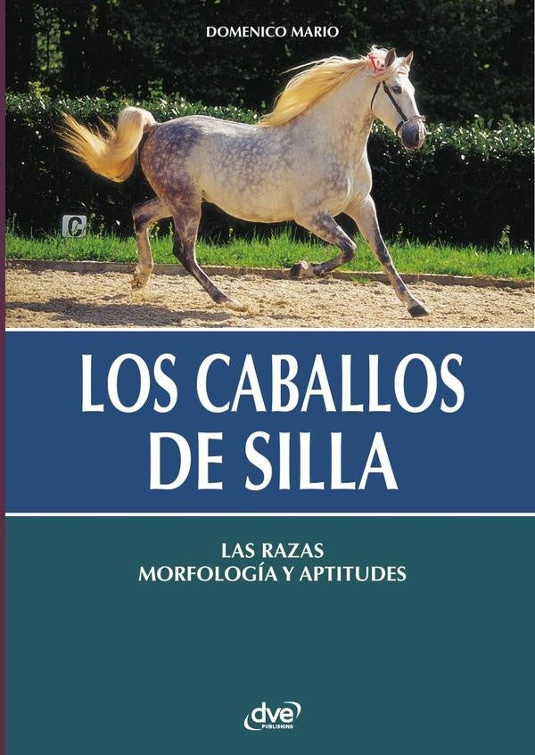 Los caballos de silla | DOMENICO MARIO
