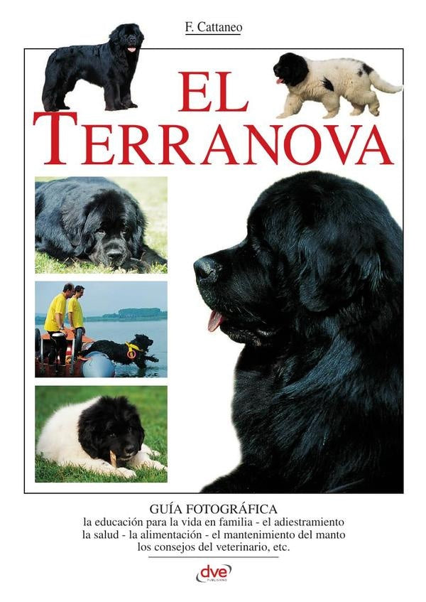 El terranova | F. Cattaneo