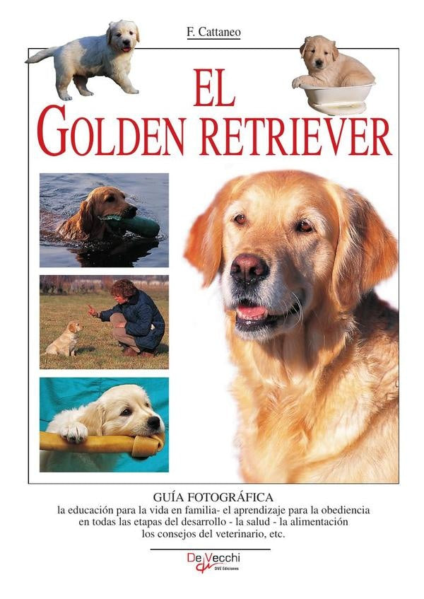 El Golden retriever | F. Cattaneo