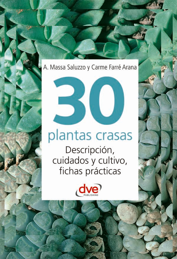 30 plantas crasas | Saluzzo, Arana