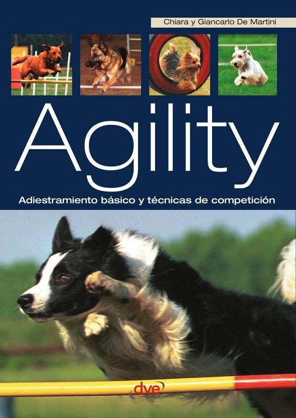 Agility | De Martini