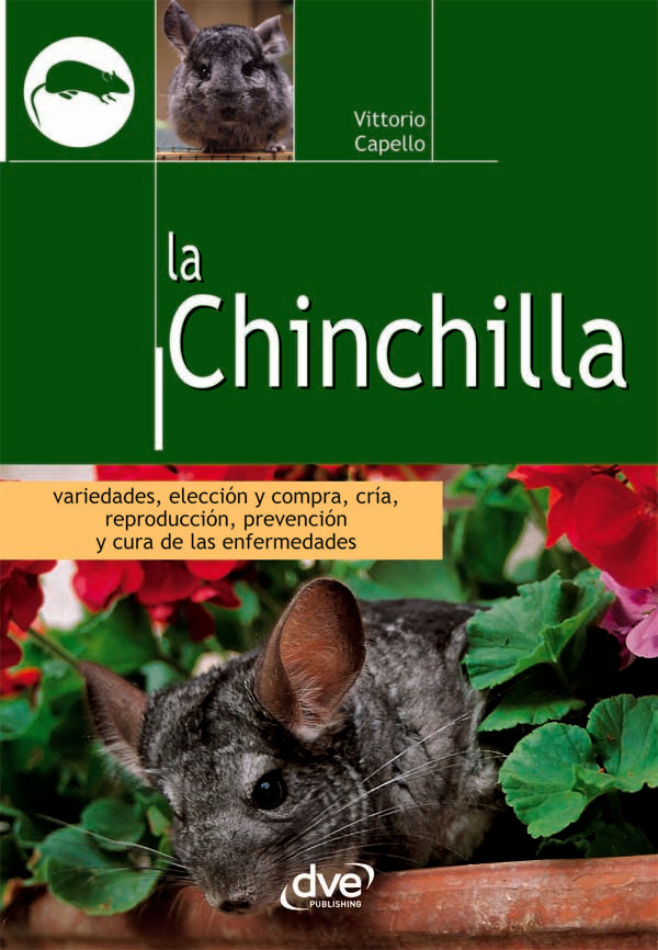 La Chinchilla | Vittorio Capello